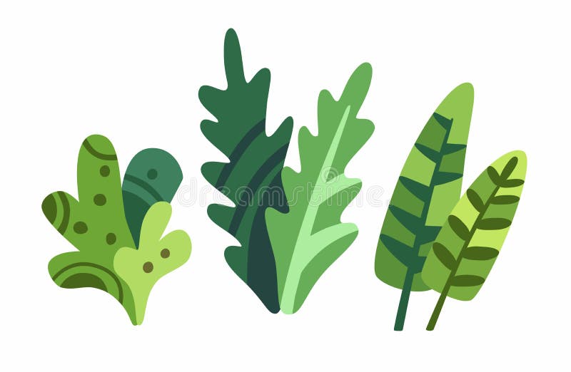 Lindas Plantas De Dibujos Animados Aisladas En El Vector De Fondo Blanco. Decorativo Lindo Elegante Hojas Material Ilustración De Ilustración del Vector - Ilustración de modelo, estilizado: 183923538 Lindas Plantas De Dibujos Animados Aisladas En El Vector De Fondo Blanco. Decorativo Lindo Elegante Hojas Material Ilustración De Ilustración del Vector - Ilustración de modelo, estilizado: 183923538