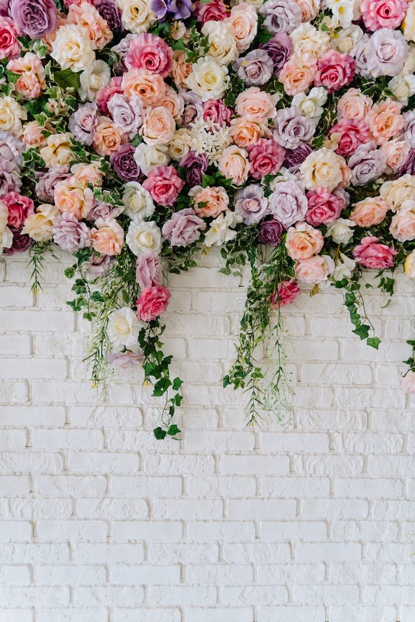 Beautiful Decorative Colorful Roses on White Wall. Indoor Wedding Ceremony Party Setting Detail. Tender Climber Blossom Bunch of Pastel Flower on Wall Background. Elegant Arrangement. Beautiful Decorative Colorful Roses on White Wall. Indoor Wedding Ceremony Party Setting Detail. Tender Climber Blossom Bunch of Pastel Flower on Wall Background. Elegant Arrangement