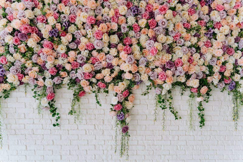 Beautiful Decorative Colorful Roses on Brick Wall. Wedding Party Decor Detail. Delicate Clambering Plant Blossom Pastel Flower on White Background. Elegant Arrangement Floristics Setting. Beautiful Decorative Colorful Roses on Brick Wall. Wedding Party Decor Detail. Delicate Clambering Plant Blossom Pastel Flower on White Background. Elegant Arrangement Floristics Setting