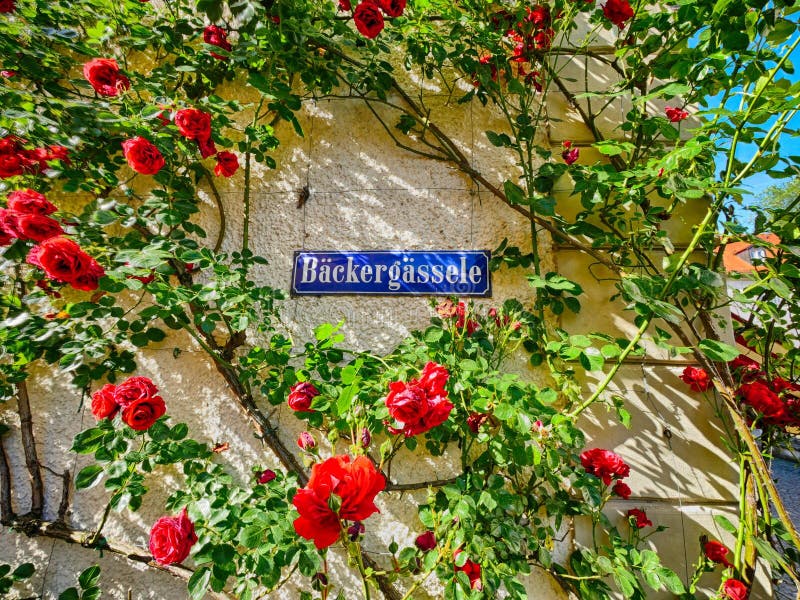 Lindau Summer Lake Constance Germany Stock Image Image of house