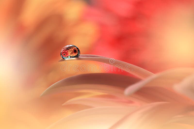 Lindíssima natureza background abstrato wallpapercelebração loveholidayartística floresarte desenhos floridos cores floridas. Lindíssima natureza background abstrato wallpapercelebração loveholidayartística floresarte desenhos floridos cores floridas.