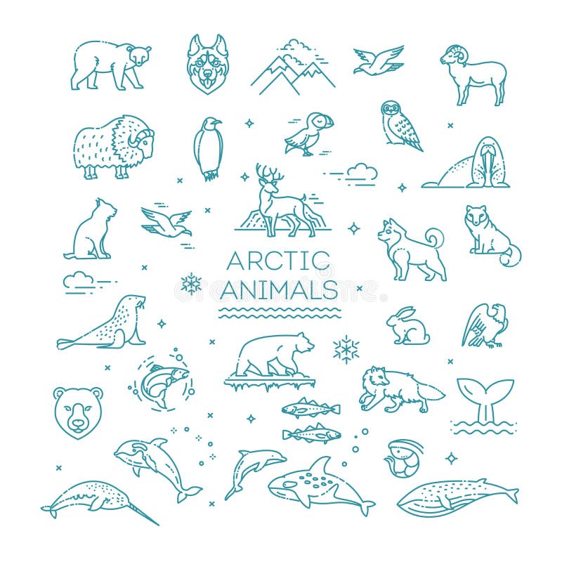 Set of Linear Vector Arctic Animals. Vector Stock Vector - Illustration of  outline, glacier: 175609461