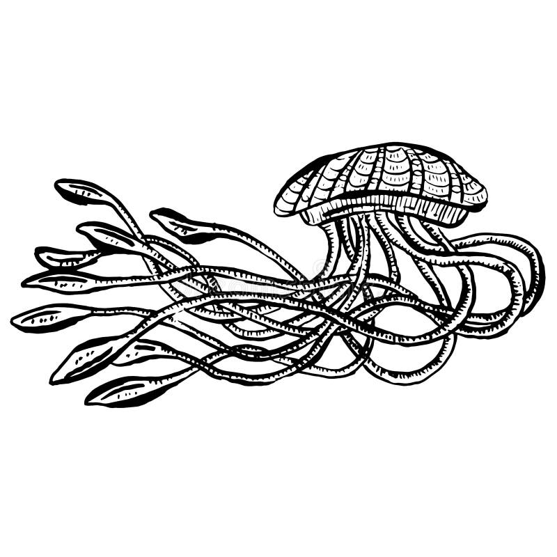 Deep Sea Creatures stock vector. Illustration of cartoon - 22458385