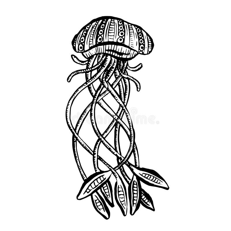 Deep Sea Creatures stock vector. Illustration of cartoon - 22458385