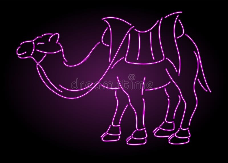 Pink camel