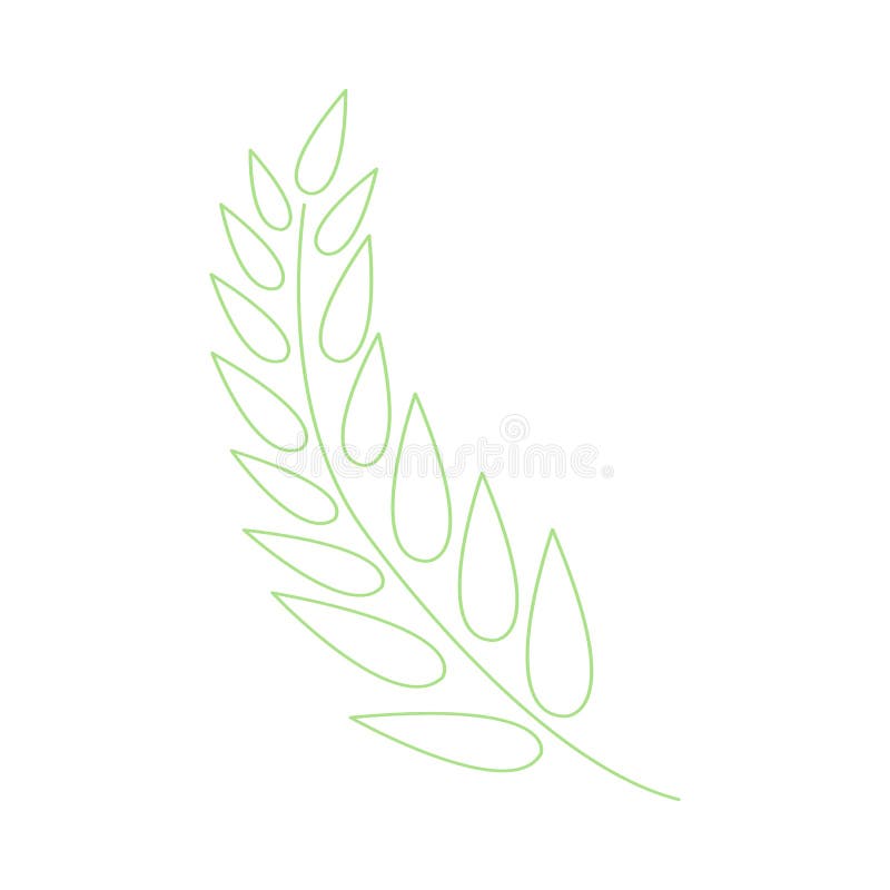 Line Art Green Leaf, Herbal Element, Spring Botanical Plant Vector