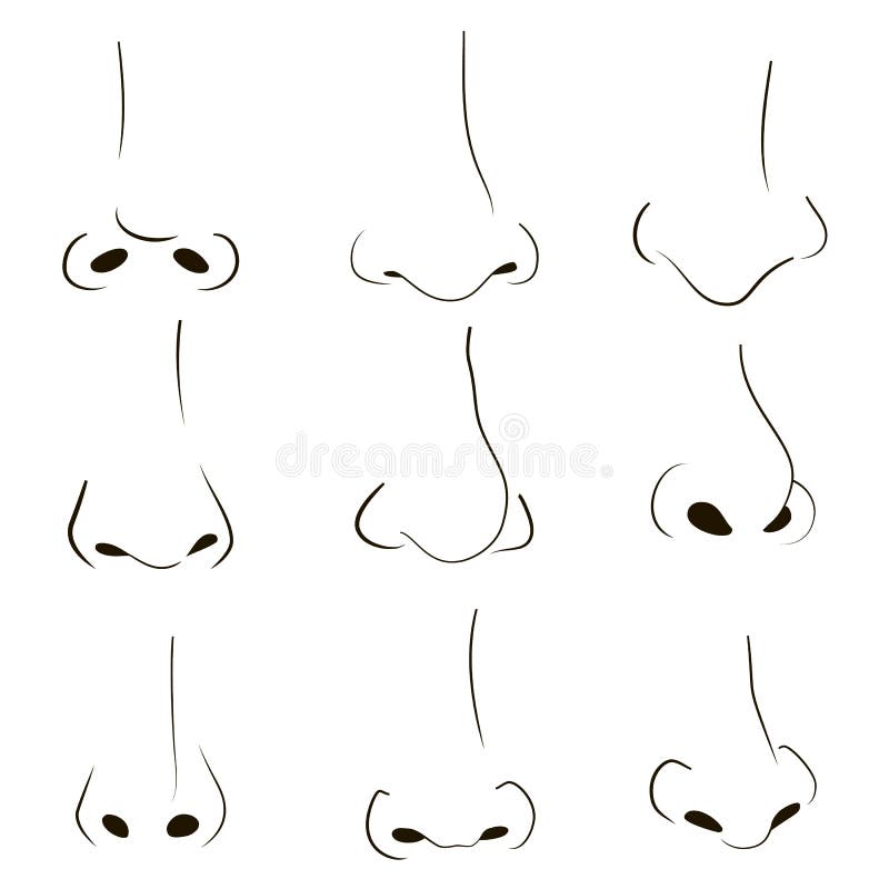 how to draw a realistic human nose