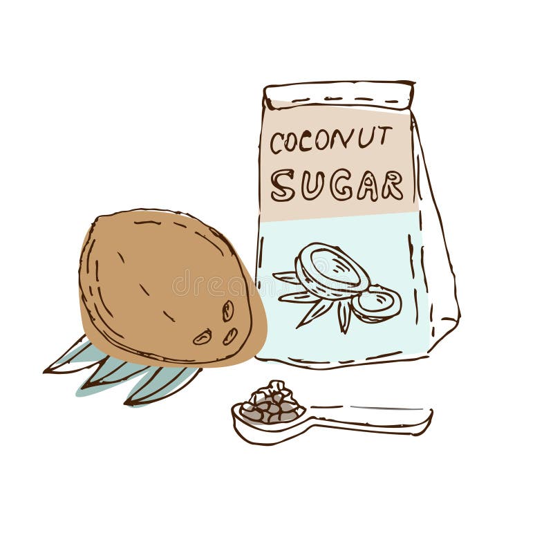 Line Art Poster with Green Sketch Coconut Sugar Stock Vector