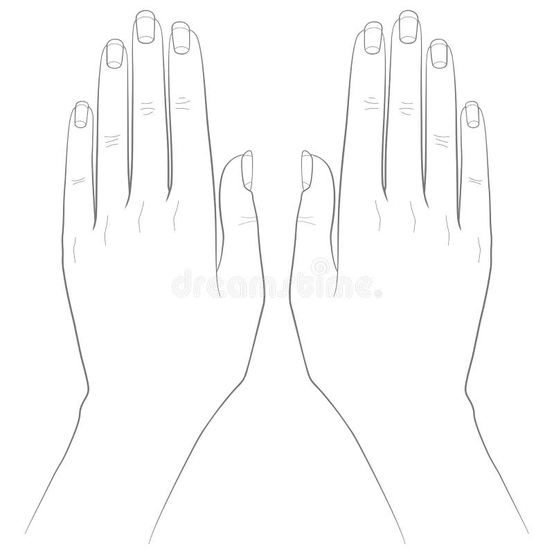 Women`s Hands, Nails. Vector Stock Illustration Eps10. Outline. Stock  Vector - Illustration of drawing, gesture: 203582404