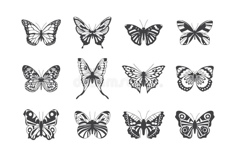 Butterfly Stencils Stock Illustrations – 96 Butterfly Stencils Stock Illustrations, Vectors & Clipart - Dreamstime Butterfly Stencils Stock Illustrations – 96 Butterfly Stencils Stock Illustrations, Vectors & Clipart - Dreamstime