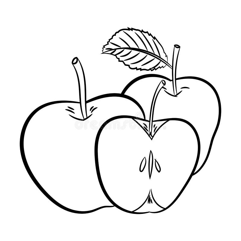 Download Line Drawing Of Apples -Simple Line Vector Stock Vector ...
