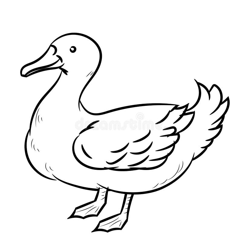 Line Drawing of Duck -Simple Line Vector Stock Vector - Illustration of