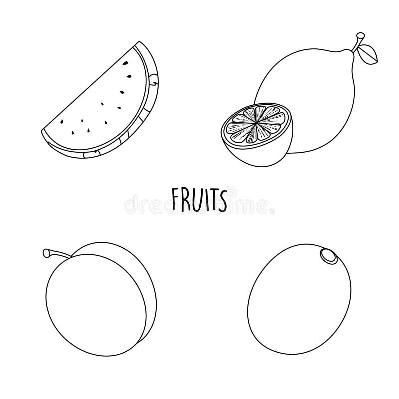 Line drawing fruits stock vector. Illustration of vitamin 86202905
