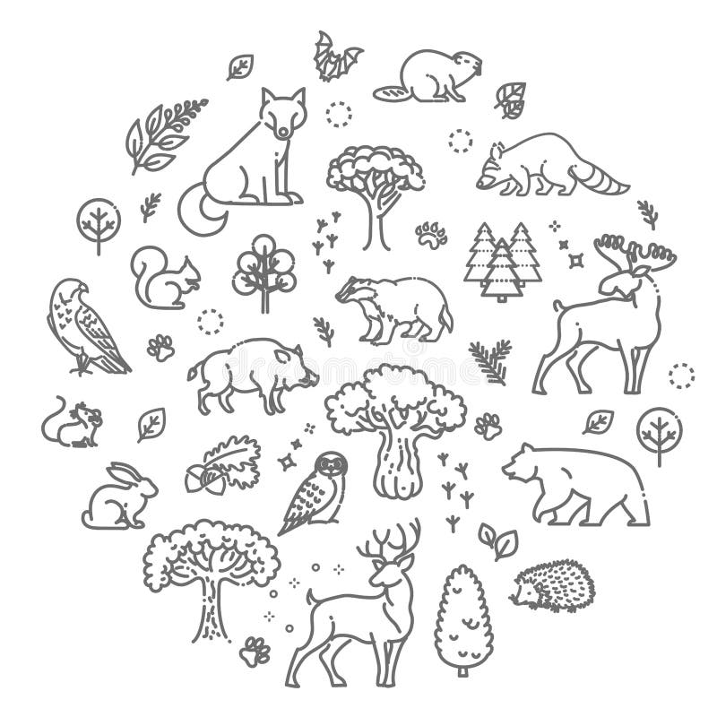 Vector. Set of Linear Vector Forest Animals Stock Vector - Illustration ...