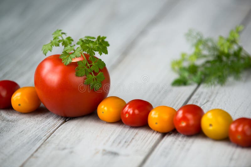 Line of natural organic red and yellow cherry tomatoes and tomato with fresh parsley on top on a wooden background royalty free stock image Line of natural organic red and yellow cherry tomatoes and tomato with fresh parsley on top on a wooden background royalty free stock image