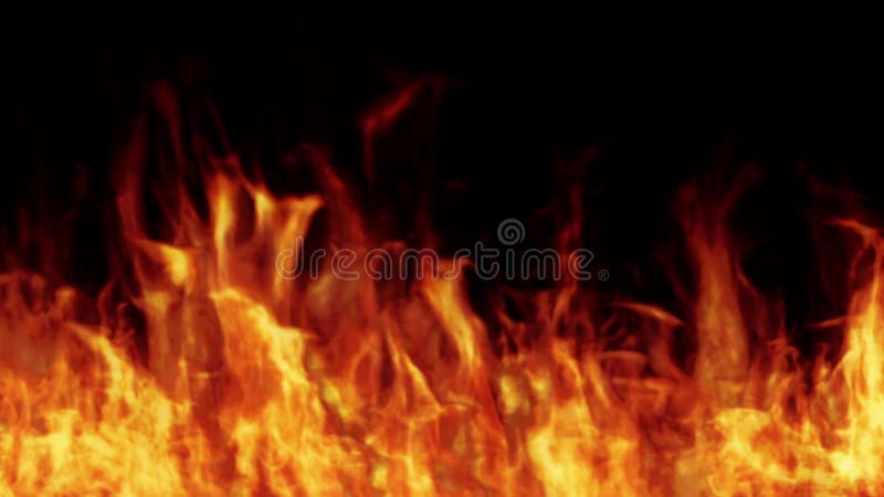 Line of Real Flames Burning on Black Background. Real Fire. Transparent  Background. Close Up Stock Footage - Video of fire, line: 178264840