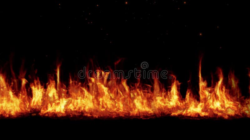 Line of Real Flames Burning on Black Background. Real Fire