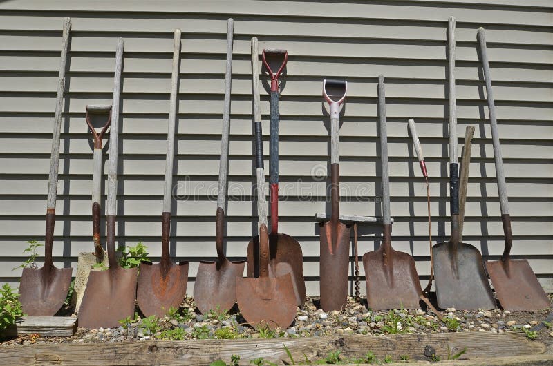 A line of shovels and spades in a line