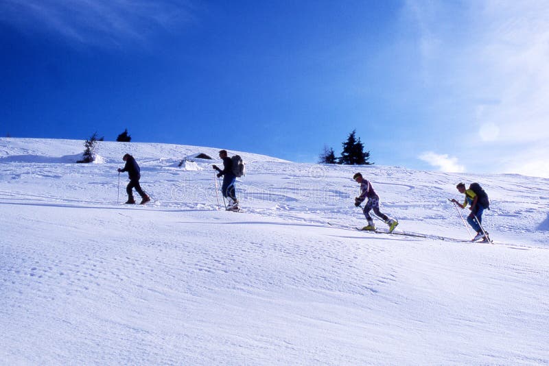 In line on the snow