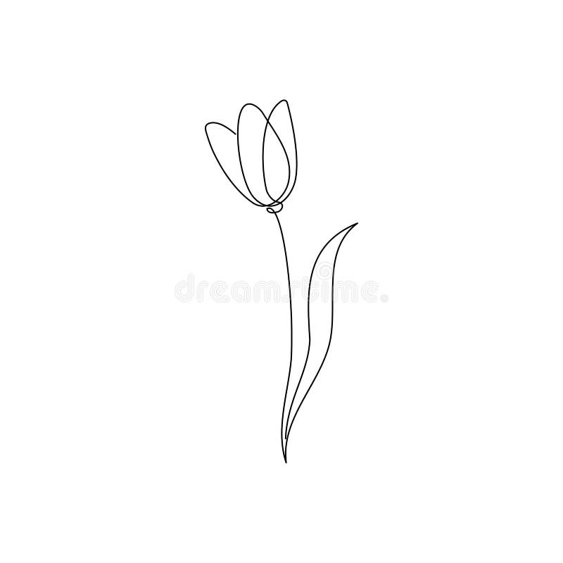 Line Tulip Flower Art. One Continuous Line Art Decorative Tulip Flower ...