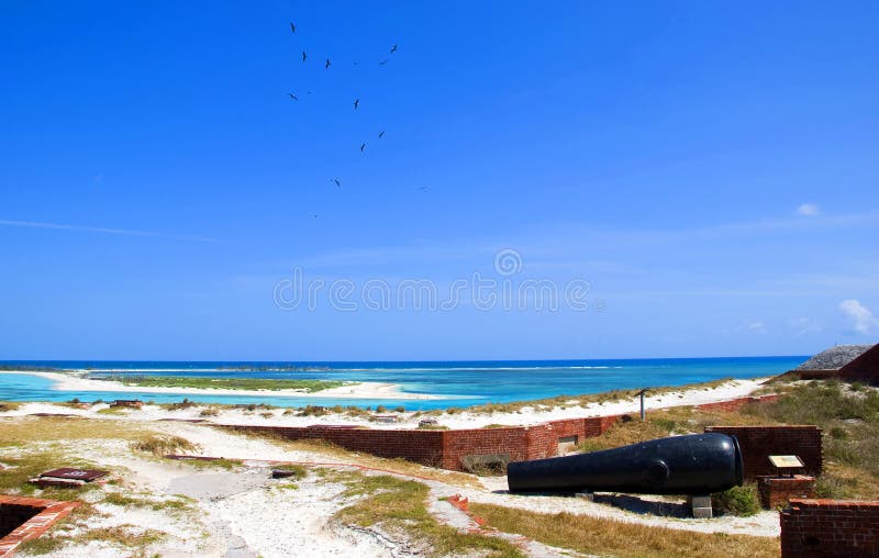 Fort Jefferson National Park coastline with view of Sooty Terns flying overhead and a cannon. Fort Jefferson National Park coastline with view of Sooty Terns flying overhead and a cannon