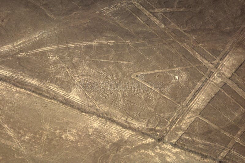 Linea di Nazca del ragno