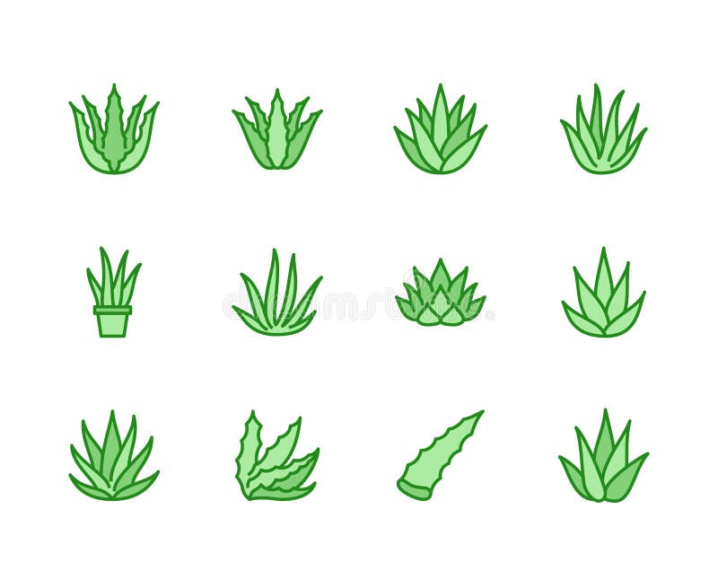Linea piana icone di vera dell'aloe Succulente, illustrazioni di vettore della pianta tropicale, segni sottili per alimento biolo illustrazione di stock Linea piana icone di vera dell'aloe Succulente, illustrazioni di vettore della pianta tropicale, segni sottili per alimento biolo illustrazione di stock