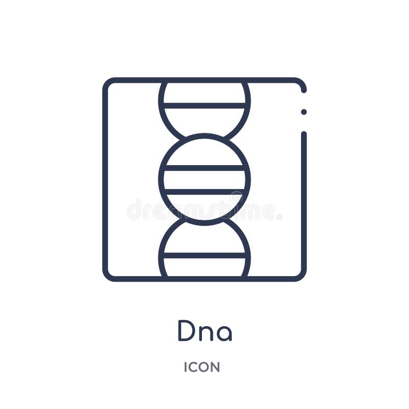 Lineair DNA-pictogram van de inzameling van het Onderwijsoverzicht De dunne die vector van lijndna op witte achtergrond wordt geï stock illustratie Lineair DNA-pictogram van de inzameling van het Onderwijsoverzicht De dunne die vector van lijndna op witte achtergrond wordt geï stock illustratie