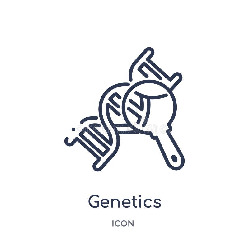 Lineair geneticapictogram van Medische overzichtsinzameling Het dunne die pictogram van de lijngenetica op witte achtergrond word stock illustratie Lineair geneticapictogram van Medische overzichtsinzameling Het dunne die pictogram van de lijngenetica op witte achtergrond word stock illustratie