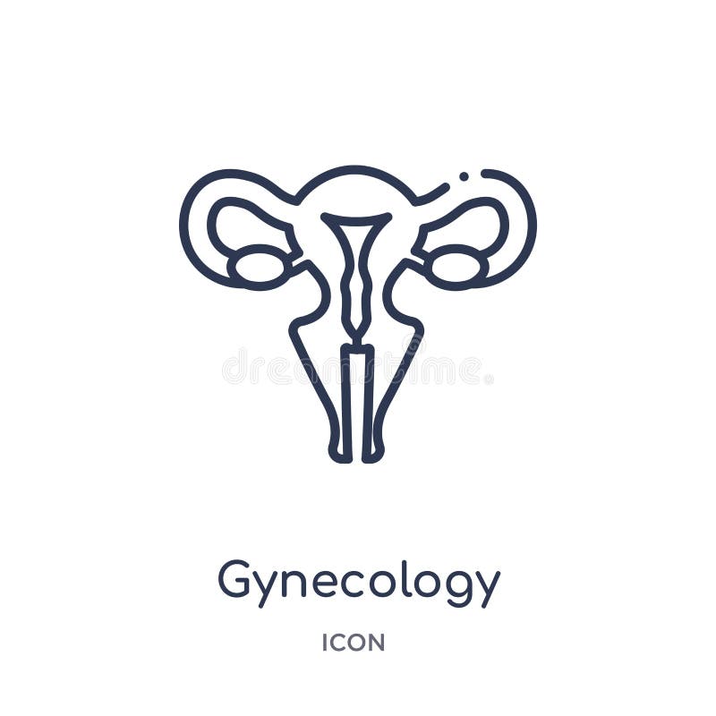 Linear gynecology icon from Health and medical outline collection. Thin line gynecology icon isolated on white background. stock illustration Linear gynecology icon from Health and medical outline collection. Thin line gynecology icon isolated on white background. stock illustration