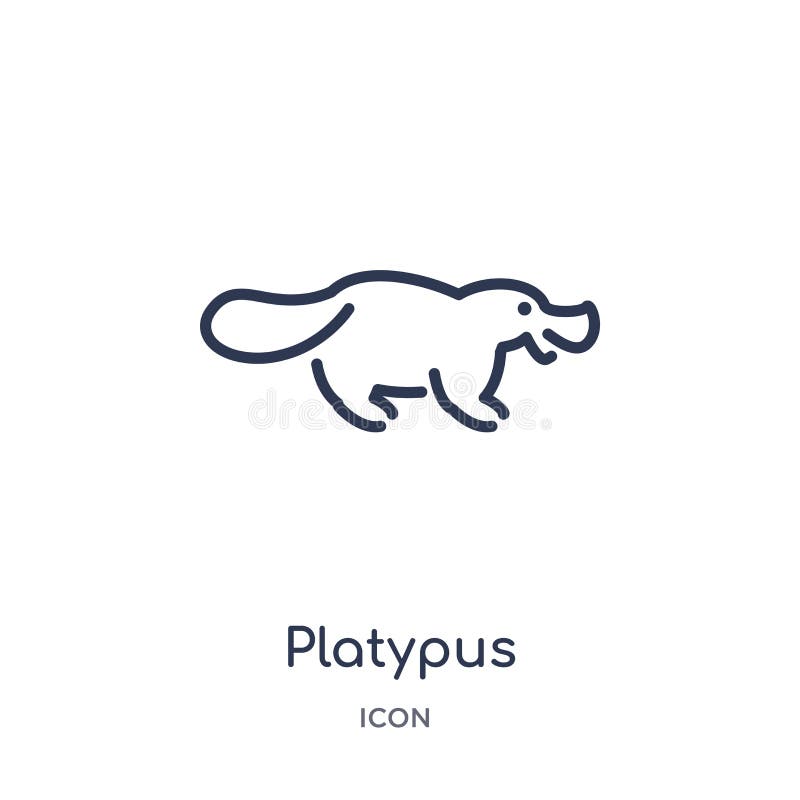 Linear platypus icon from Animals outline collection. Thin line platypus icon isolated on white background. platypus trendy royalty free illustration Linear platypus icon from Animals outline collection. Thin line platypus icon isolated on white background. platypus trendy royalty free illustration