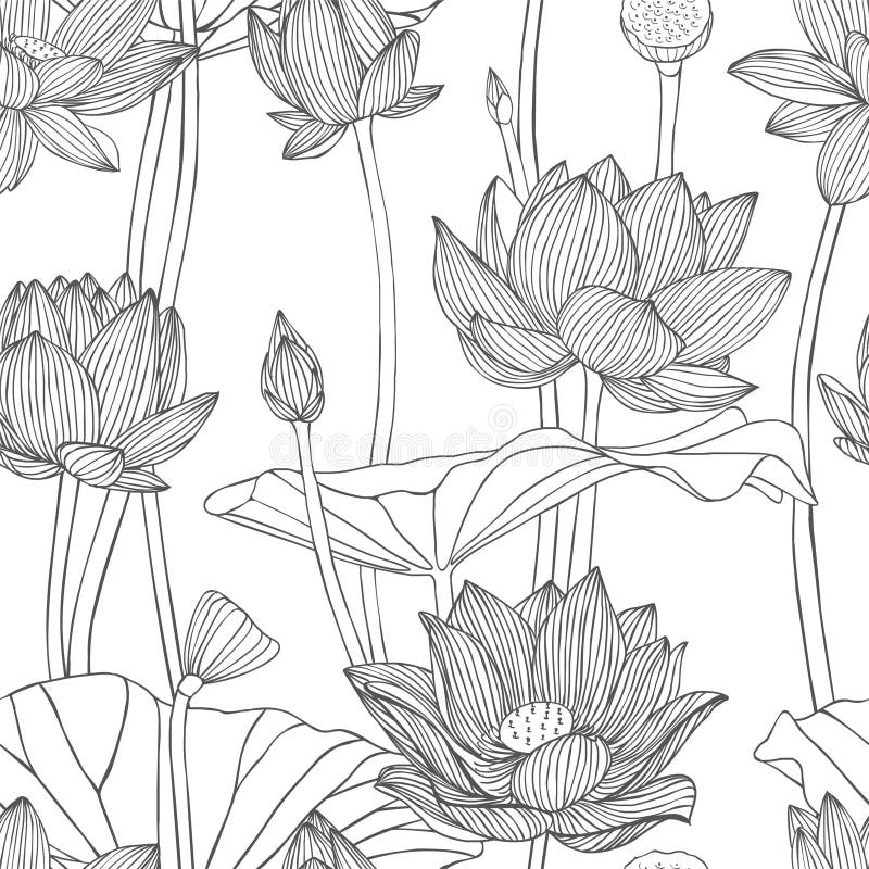 Linear seamless pattern - lotus flower. royalty free illustration