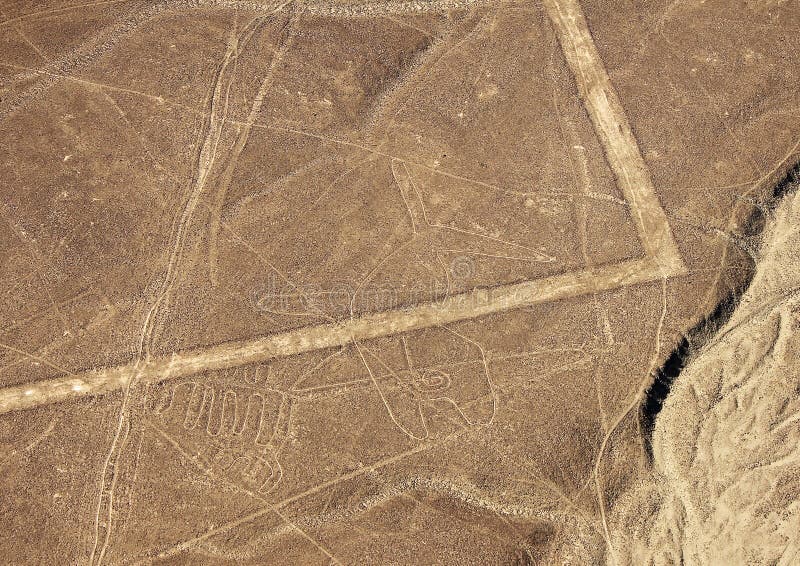 Linee di Nazca - balena