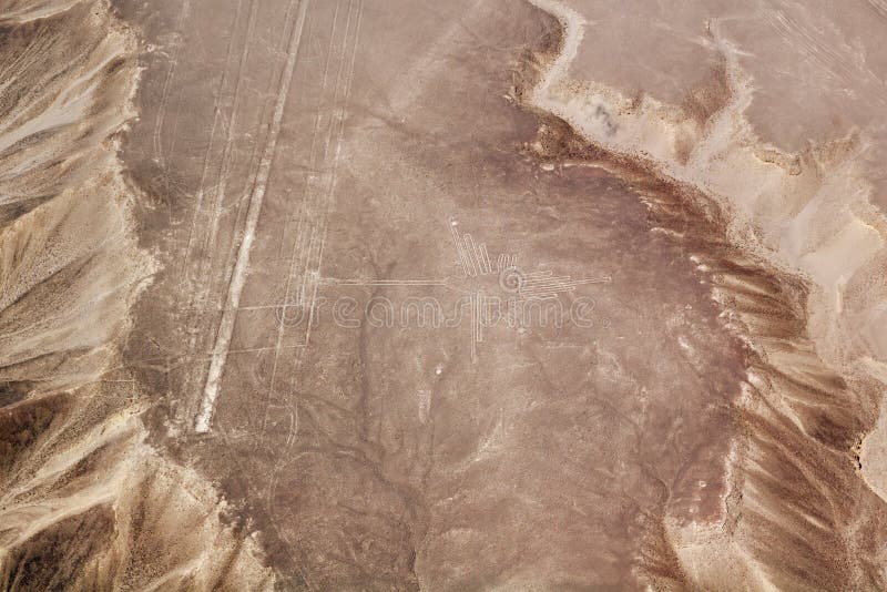 Linee di Nazca che ronzano uccello