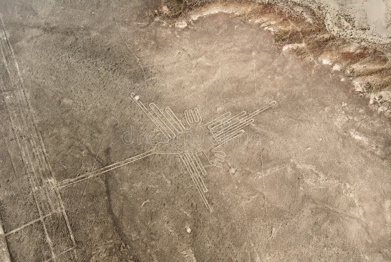 Linee di Nazca - colibrì