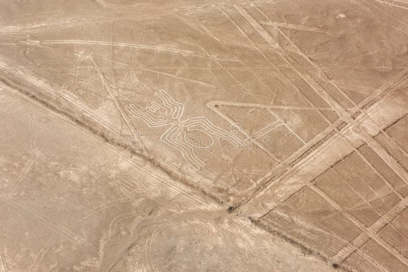 Linee di Nazca dagli aerei - ragno
