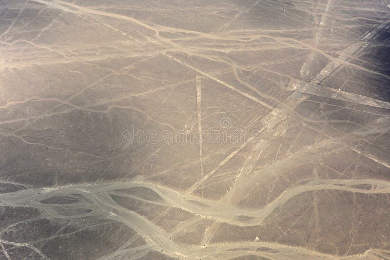 Linee di Nazca di pappagallo
