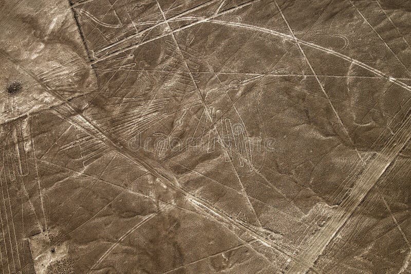 Linee di Nazca di vista aerea del condor, Perù