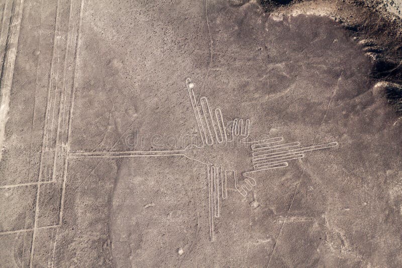 Linee di Nazca, figura del colibrì visibile