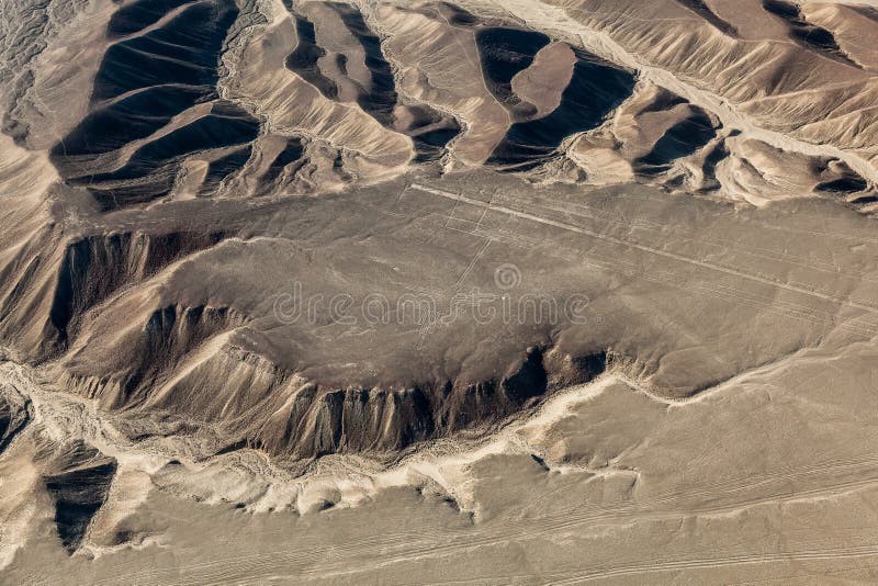 Linee di Nazca, il colibrì