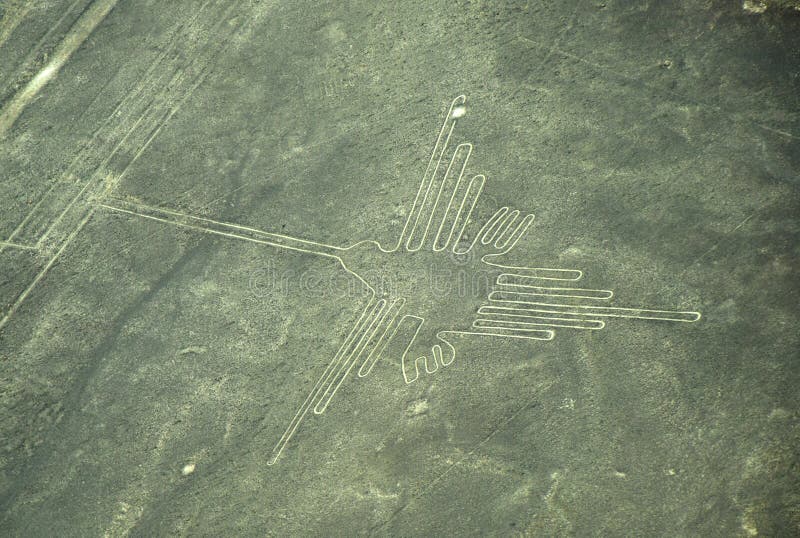 Linee di Nazca: Il colibrì