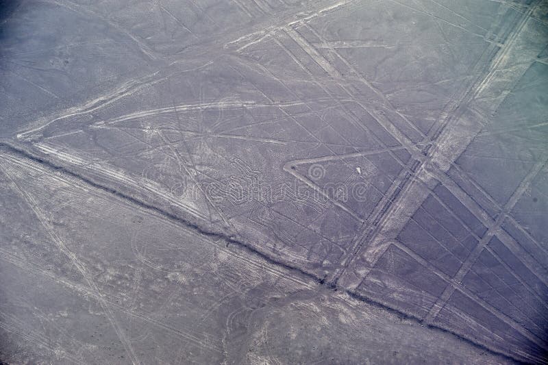 Linee di Nazca - il ragno