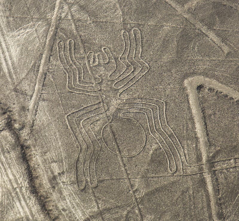 Linee di Nazca - il ragno
