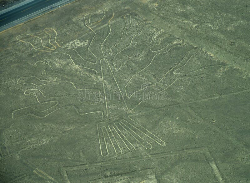 Linee di Nazca: L'albero