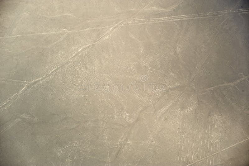 Linee di Nazca - la scimmia