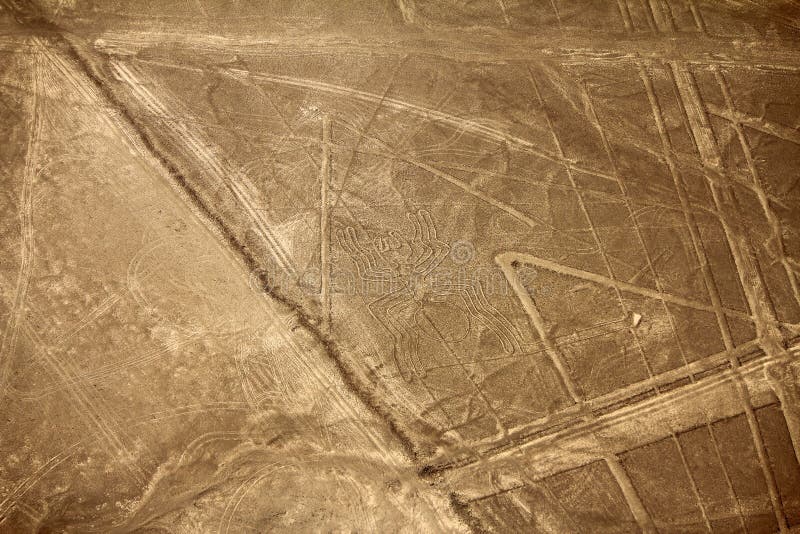 Linee di Nazca - ragno
