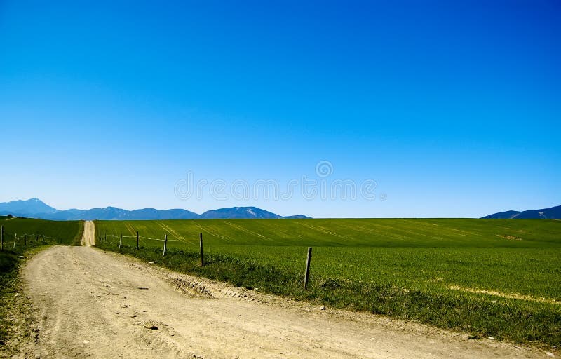 Lines in nature stock photo. Image of nature, field, green 12947034