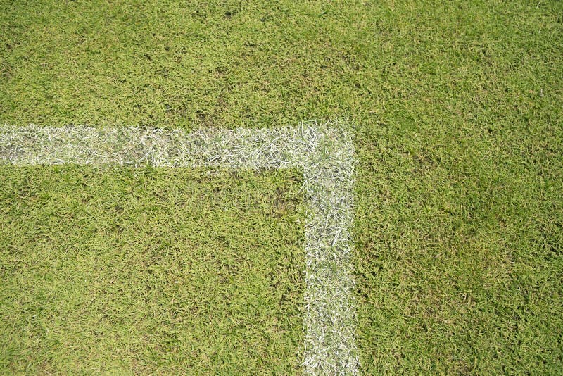 Lines on Soccer Field Green Grass Stock Image Image of leisure