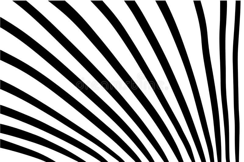 Lines Vector Hand Drawn Vector Illustration Background Wallpaper Black White Stock Illustration