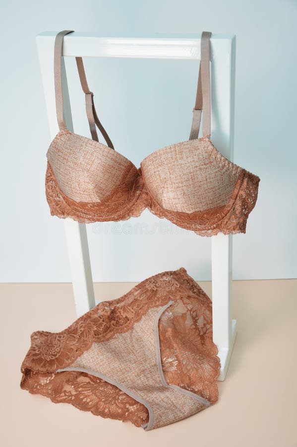 Vetor de Set of lingerie - bra underwire and french knickers